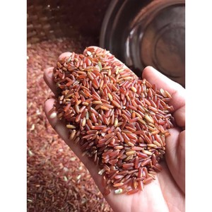 Nouilles de riz brun biologique de qualité supérieure saines sans gluten vegan sans OGM sac de pâtes séchées asiatiques naturelles en gros OEM ODM - Product Image 3