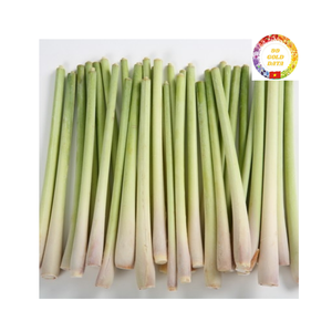 Citronnelle congelée en vrac cultivée et transformée au Vietnam avec une qualité certifiée et une excellente valeur à l'exportation - Product Image 6