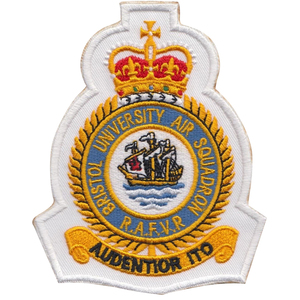 Patchs tactiques sur mesure de haute qualité insignes d'aile brodés à la main pour blazer uniforme badges de rang en tissu à coudre - Product Image 2