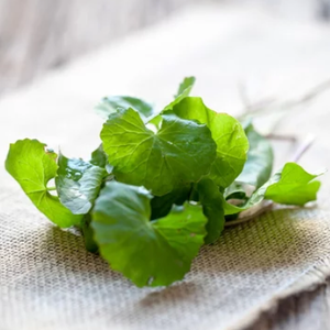 Gel Nettoyant Doux à la Centella Asiatica Développé en Corée ODM/OBM – Nettoyant Visage Hydratant, Réducteur de Pores et Contrôle du Sébum - Product Image 5