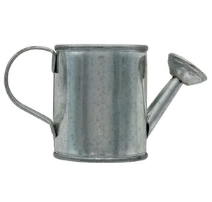 Regadera de hierro Premium verde con recubrimiento en polvo con cuidado diario de las plantas y elegante exhibición de jardín - Product Image 1