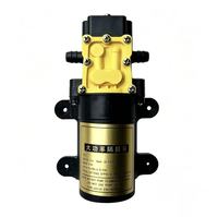 Hochwertige 12V 3,5A DC Membran-Wasserpumpe 6L/min 87PSI 6Bar Externe Rücklaufpumpe für Landwirtschaftliche Sprühgeräte