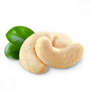Fournisseur de noix de cajou de qualité/Noix de cajou crues en coquille - Product Image 3
