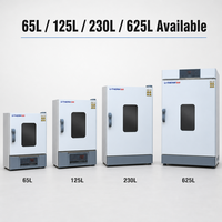 Four de séchage à air forcé de laboratoire YX-DHG, protection IP65, précision 0,1, 1600W-5000W, pour charbon et essais de combustibles biomasse