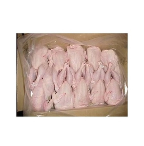 Poulet Halal Congelé Oiseau Entier Traité Sous Contrôles d'Hygiène Stricts pour les Marchés d'Exportation avec une Qualité Fiable - Product Image 1