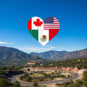 T-Shirt con Bandiera di Messico, Canada e USA, Nera, Unisex, Collo Tondo, Manica Corta, Stampa Digitale, Promozionale - Product Image 3