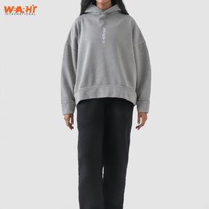 Sweat à capuche surdimensionné imprimé personnalisé 100% coton mélangé basique unisexe Streetwear pull sweat pour l'hiver broderie 3D - Product Image 5