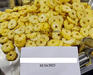 菠萝块水果罐头食品新鲜菠萝是越南罐头/利奥先生 + 84 965 467 267