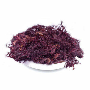 EUCHEUMA COTTONII untuk kesehatan/lumut Laut Irlandia manfaat kesehatan/rumput laut panggang kering ekspor dari EXPAD VIETNAM - Product Image 2