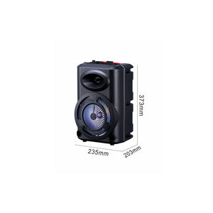 Haut-parleur karaoké portable 8 pouces avec Bluetooth, LED RGB et radio FM, microphone sans fil par Netzy SAFA GD-903 - Product Image 4