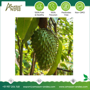 ผงกราวิโอลาสกัดจากพืชออร์แกนิก - Product Image 4