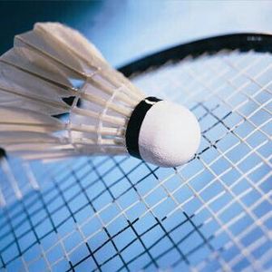 Zen Wing Shuttlecock design logo personnalisé professionnel de haute qualité - Product Image 3