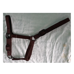 Nouvelle arrivée en cuir véritable cheval licou Durable rembourré course en gros équestre licou - Product Image 3