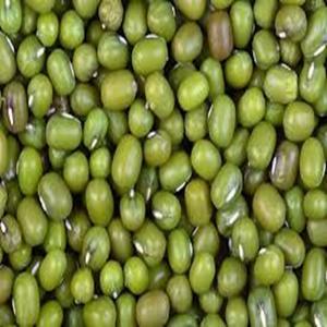 Premium Grade Green Mung <b>Beans</b> Available for Export at Farm Price - Product Image 6
