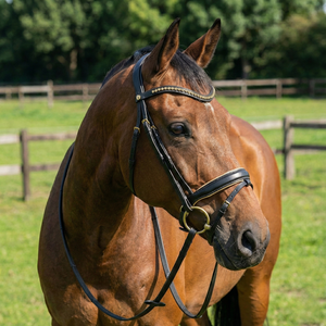 Brida de Equitación Inglesa de Primera Calidad con Elegante Cuero Negro, Diadema con Cristales Dorados, Muserola Acolchada, Colores Personalizables - Product Image 2