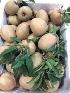 Fruta de Sapodilla Congelada al por Mayor de Fábrica de Procesamiento de Vietnam - Product Image 2