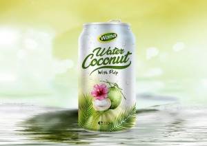 Agua de coco vietnamita natural 250 ml 320 ml 500 ml fresca esterilizada sin conservantes nunca de concentrado OEM privado - Product Image 6