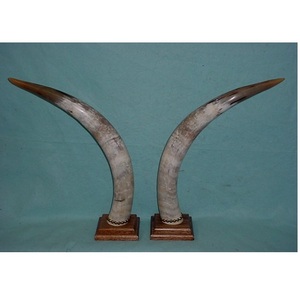 Maceta de cuerno de búfalo natural para el hogar, cafetería y banquete de boda, hecha a mano con excelente acabado, gran oferta, decoración moderna para el hogar - Product Image 5