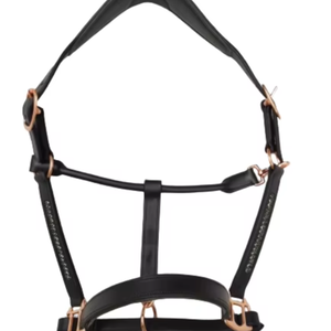 Adeefa Enterprise, rembourrage vert cristal et noir pour licol en cuir pour cheval avec ferrures en laiton, tête de licol pour chevaux. - Product Image 1