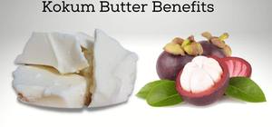 Exportateur de beurre de Kokum naturel à usage cosmétique de qualité supérieure dans le monde entier Fabrication depuis l'Inde - Product Image 6