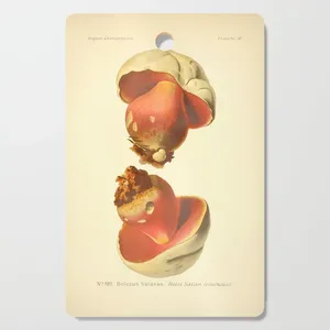 Planches à fromage en bois dernier modèle motif à carreaux colorés planche à découper en bois de manguier avec émail autocollant pour une utilisation gastronomique - Product Image 2