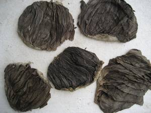 Medula Ósea de Res Halal Salada Seca en Oferta, Omaso Congelado de Alta Calidad envasado al Vacío, Sin Azúcar, Precio Económico - Product Image 2