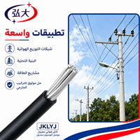 Cable Aéreo Aislado con Conductor de Aluminio JKLYJ 0.6/1kV, Cable ABC para Distribución de Energía Aérea, Cable de Alimentación con Aislamiento de PVC
