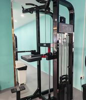 BN Commercial Steel Multi-Function Pin Loaded Assisted Pull-Up Dip Machine 100kg Weight Stack for Universal Upper Body