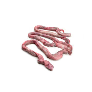 Pene de res de alta calidad ofrecido a precios competitivos para distribuidores y procesadores de carne - Product Image 2