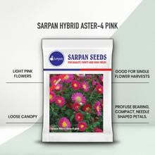 Semillas de Asteroide Híbrido SARPAN AST-4, 10 g, Color Rosa, Colección de Flores de Asteroide Híbrido Diverso - Product Image 2