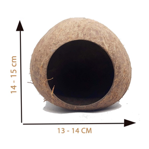 CocoNest-refugio de conchas de coco de alta calidad para hámsters y pájaros, hecho a mano en Vietnam para un hábito Natural y duradero - Product Image 2