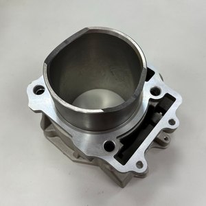 กระบอกสูบหน้าแท้ TGB (A) สำหรับ ATV Blade 1000 LTX, 910005 - Product Image 3