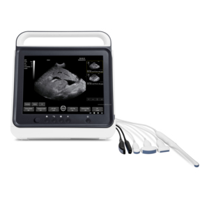 PT50A harga mesin hewan peliharaan untuk babi domba sapi kuda hewan Ultrasound portabel - Product Image 1