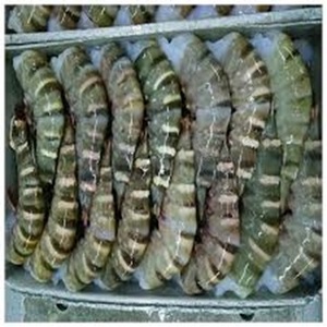 Camarones Tigre negros congelados frescos de alta calidad a precios a granel - Product Image 4