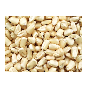 Exportador Global del Maíz Blanco Dulce Congelado de la Mejor Calidad, Amarillo/Blanco, a Buen Precio - Product Image 3