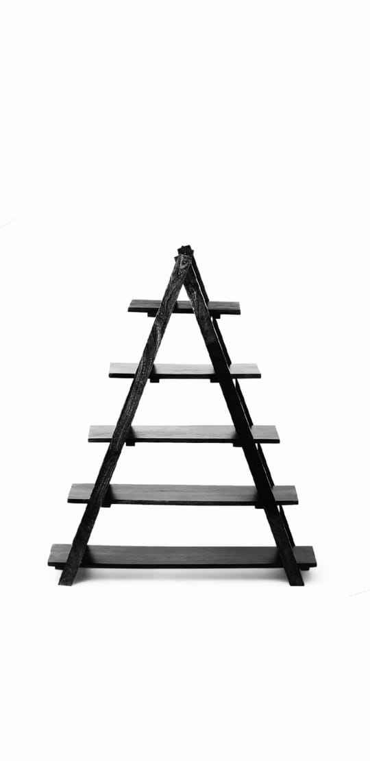 เช่นเดียวกับภาพ