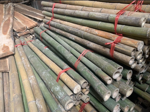 Bâtons de bambou de qualité supérieure, issus de sources durables au Vietnam, pour des applications polyvalentes dans le monde entier - Product Image 2