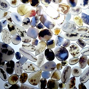 Vente en gros de cabochon en agate dendritique Shazar Agate dendritique Shazar de qualité supérieure en forme de mélange de pierres précieuses en vrac pour la fabrication de bijoux - Product Image 5