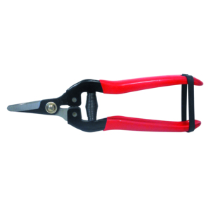 Tijeras con Hoja Curva Cm. 16 - Product Image 1