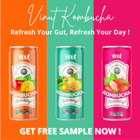 Kombucha Witte Thee & Tropische Mix Vinut 250Ml Blikje Sap Drink-Oem Odm Aanpasbare Groothandelsprijs Gratis Monster Beschikbaar
