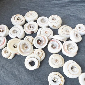 <b>Leaf</b> Cut Seashell Pieces for Handmade Decoration Coastal <b>Art</b> Projects and Bulk Craft Shell Supplies - Product Image 3