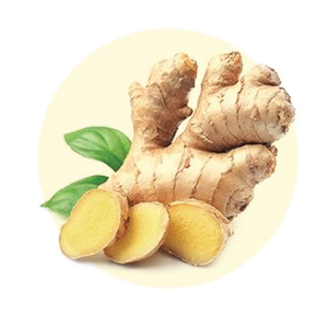 Le meilleur gingembre du Vietnam pour le commerce international - Product Image 4