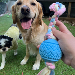 Grand ensemble de jouets à mâcher en caoutchouc et coton TPR pour chiot utilisation intérieure et extérieure nettoyage dentaire Style mignon Carton emballé - Product Image 6