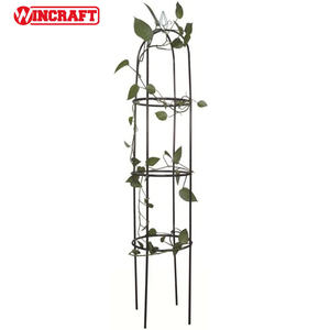 Obélisque de treillis de jardin en métal décoratif extérieur pour plantes grimpantes arbustes et roses cadre d'ornements de jardin - Product Image 2