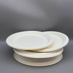 Assiettes jetables réutilisables en bagasse de canne à sucre blanche de 10 pouces 100% biodégradables écologiques compostables robustes pour la fête - Product Image 1