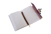 Carnet en cuir Celtic Lion, couverture classique, papier coton personnalisé, reliure en cuir antique, cadeau, logo personnalisé, dessin