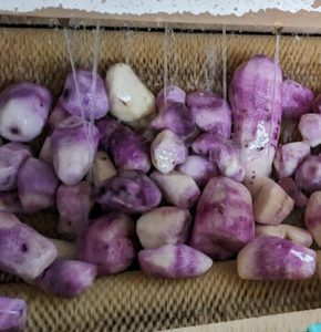 น้ำซุปข้นแช่แข็งจากเวียดนามเหมาะสำหรับขนมหวานเค้กและเครื่องดื่มทำจากหัวจริง - Product Image 6