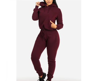 Último diseño de algodón con capucha chándal comodidad Fitness Wear manga larga ropa casual secado rápido Color sólido - Product Image 1