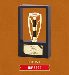 Trophées de récompense en métal personnalisables or et argent pour les célébrations de fête académie et les cérémonies d'appréciation du sport - Product Image 4