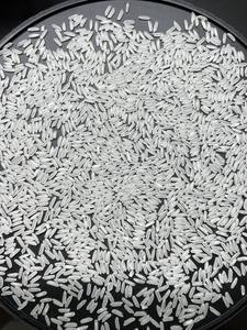 Texture molle de riz à grain moyen jasmin disponible dans des emballages OEM pour les importateurs grossistes et détaillants Offres Spéciales des marchés USA UE - Product Image 5